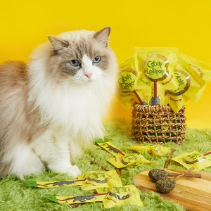 펫토리아 마따따비 캣닢 고양이 사탕 간식